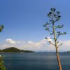 Sobra - photo 9