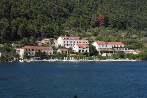 Soline - photo 19