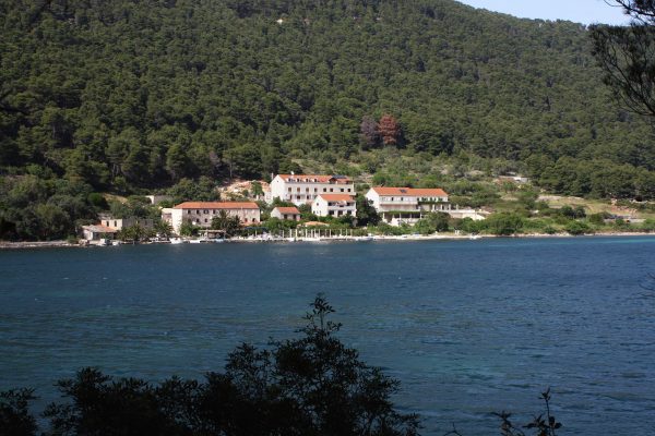 Soline - photo 2