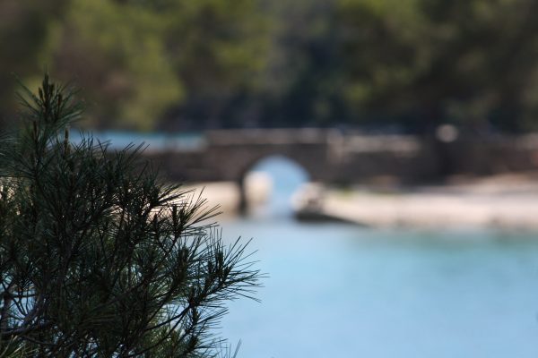 Soline - photo 8