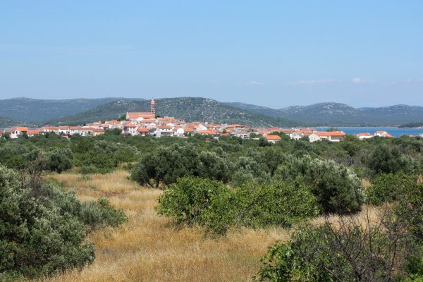 Betina - photo 6