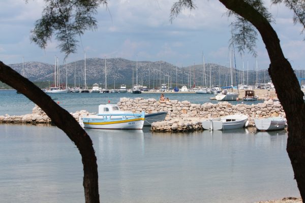 Betina - photo 7