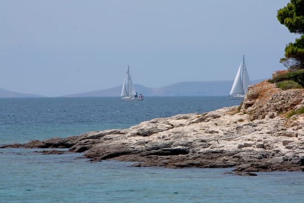 Murter - photo 14