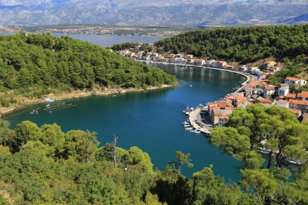 Novigrad - photo 2