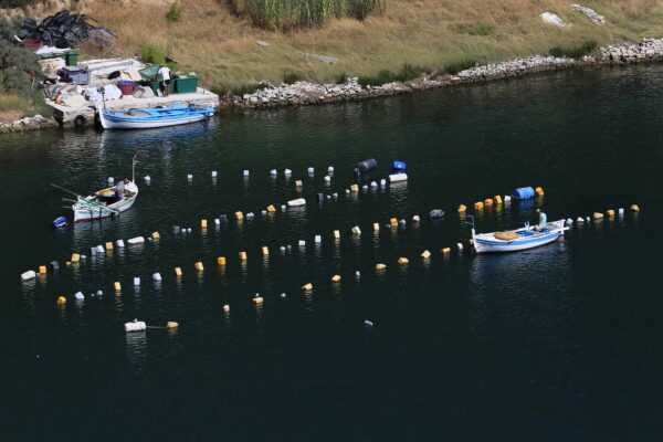 Novigrad - photo 4