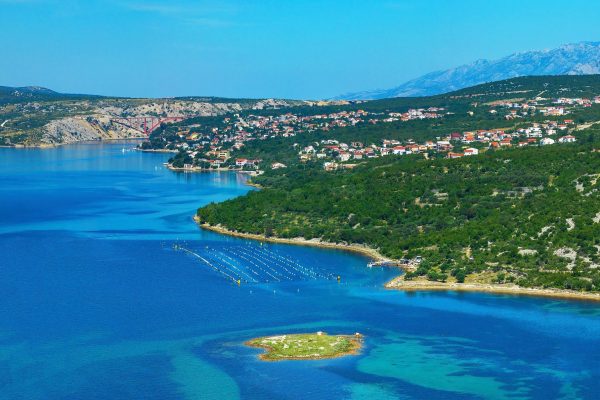 Maslenica
