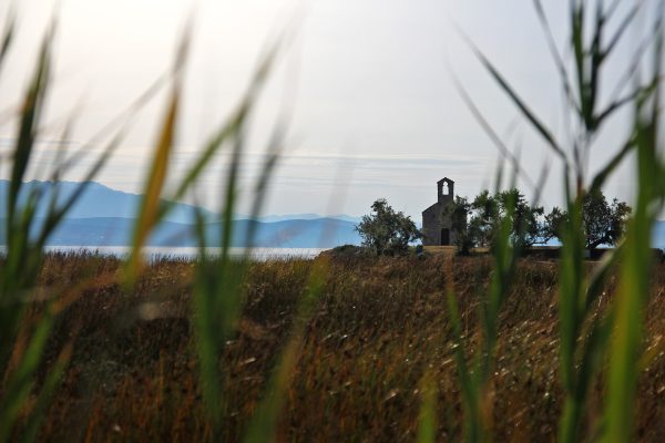 Posedarje - photo 16