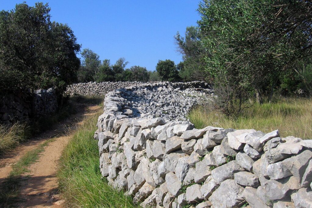 Dalmatia Olib Croatia