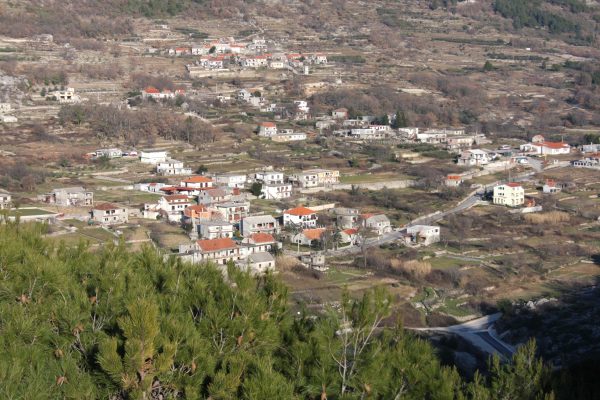 Gata - photo 2