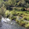 Kučiće - photo 10