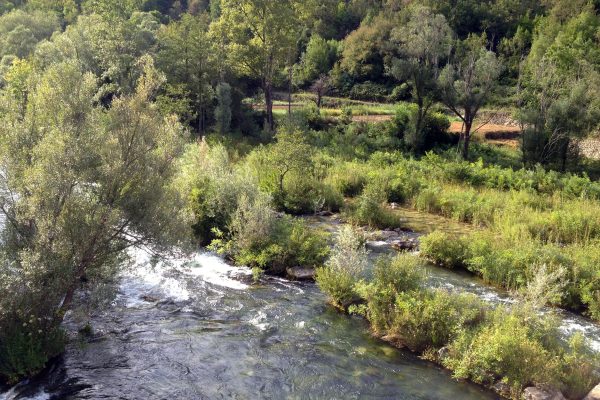 Kučiće - photo 10
