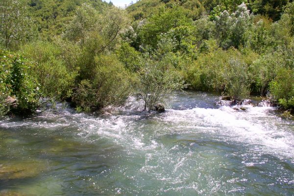 Kučiće - photo 2