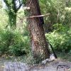 Kučiće - photo 9