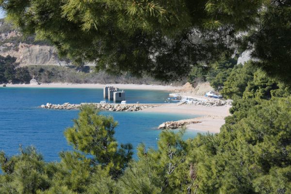 Medići - photo 3