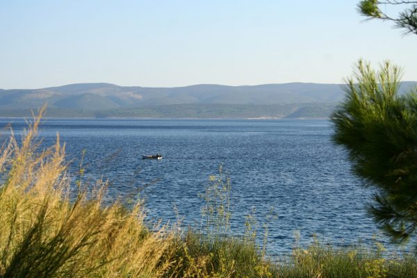 Medići - photo 5