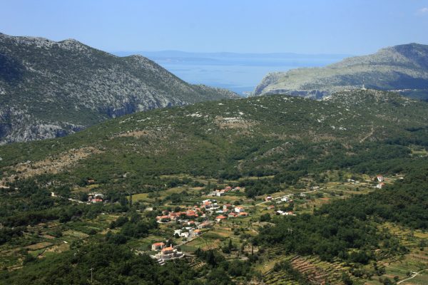 Ostrvica