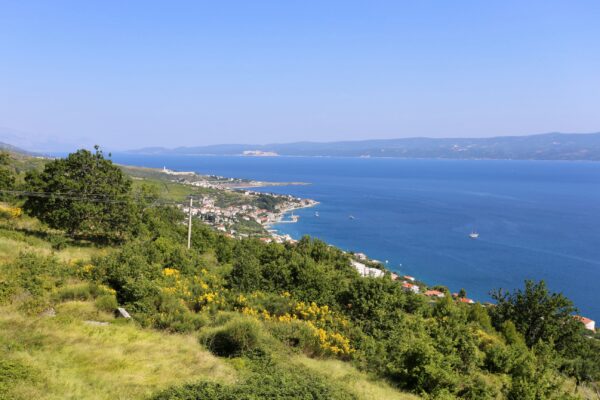 Sumpetar - photo 2