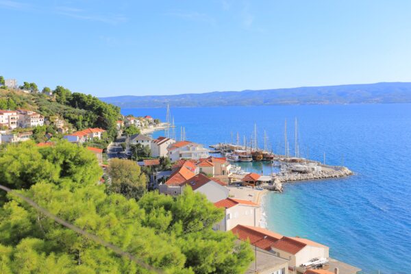 Sumpetar - photo 4