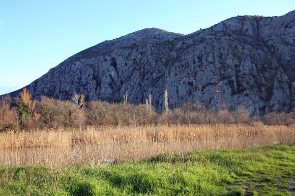 Zakučac - photo 6