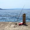 Kozjača - photo 4