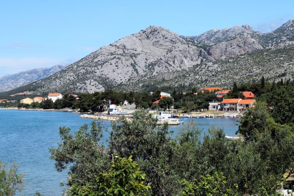Seline - photo 10
