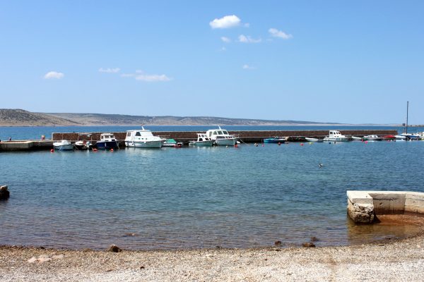 Seline - photo 11