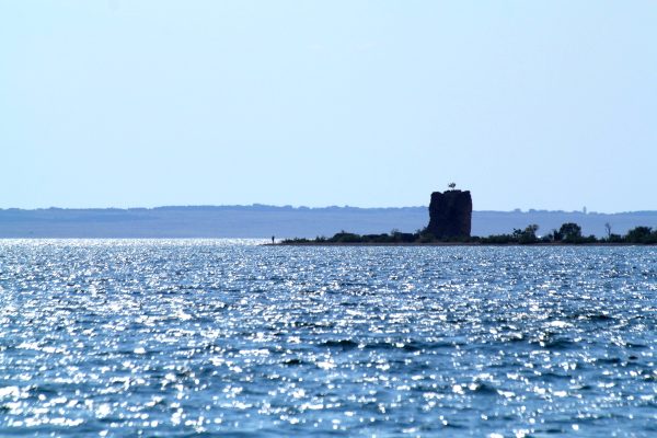 Seline - photo 14