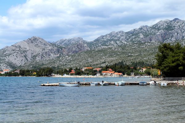 Seline - photo 15