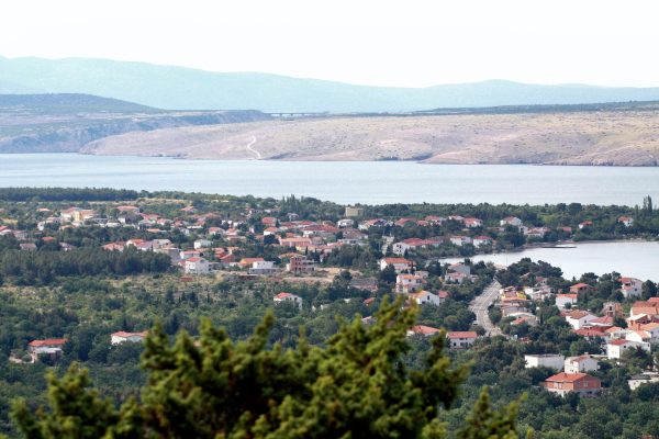 Seline - photo 4