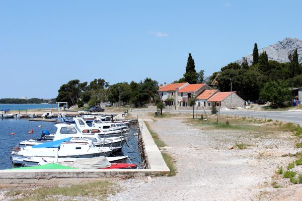 Seline - photo 7