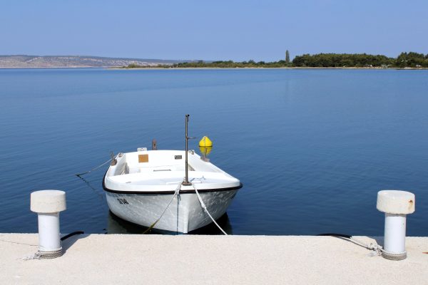 Seline - photo 8