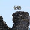 Starigrad - photo 21
