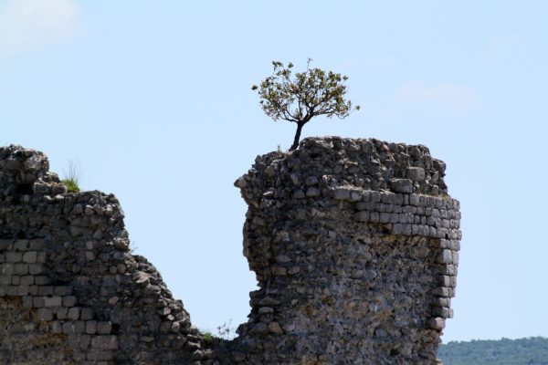 Starigrad - photo 21
