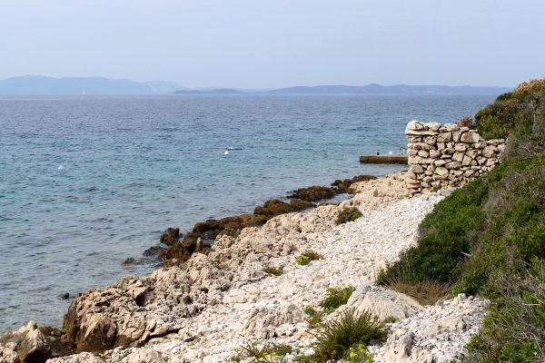 Čerenje