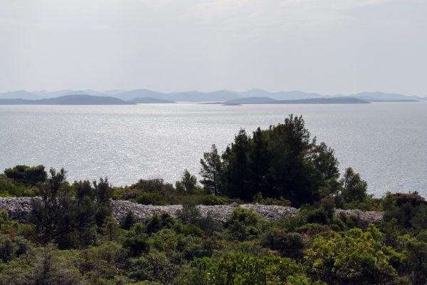 Čerenje - photo 4