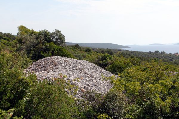 Čerenje - photo 5