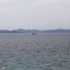 Čerenje - photo 7