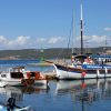 Pašman - photo 10