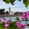 Pašman - photo 18