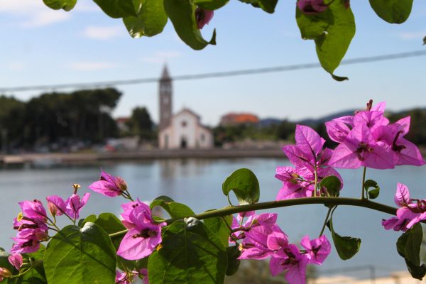 Pašman - photo 18