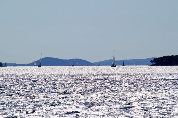 Pašman - photo 23
