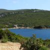 Kobiljak - photo 1