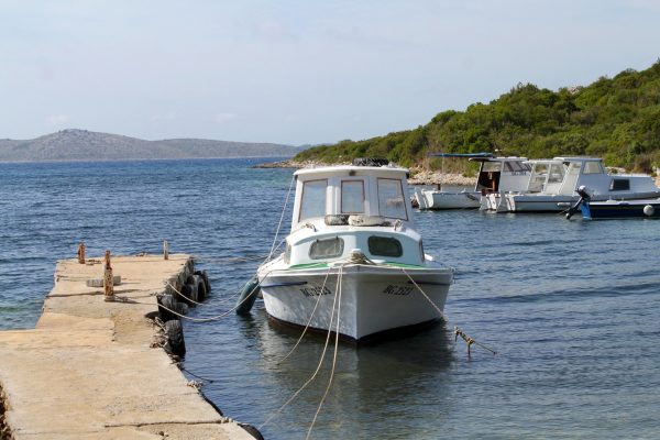 Kobiljak - photo 10