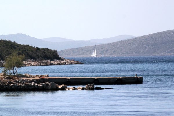 Kobiljak - photo 11