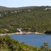 Kobiljak - photo 12