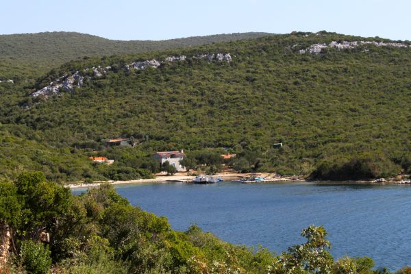 Kobiljak - photo 12