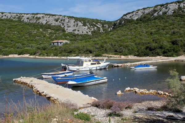 Kobiljak - photo 2