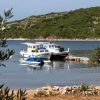 Kobiljak - photo 3
