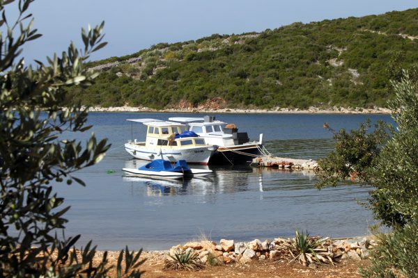 Kobiljak - photo 3