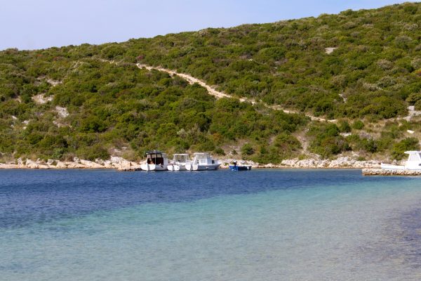 Kobiljak - photo 4